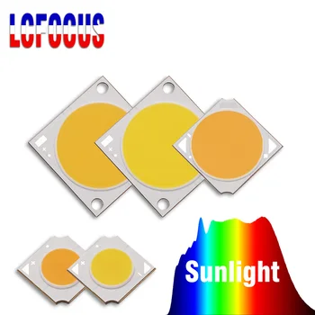 10W 20W 30W 50W 100W Augti COB LED Lustas Visą Spektrą Sun 