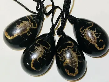 12 vnt Unikalių Vabzdžių Epoksidinės skorpionas Kūrybos niekučių juodas lašas priedai