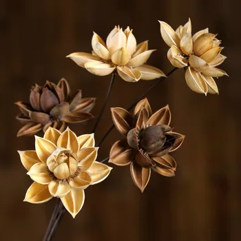 1pcs 55cm Džiovintos Gėlės Gamtos Lotus Namų Dekoravimas, Vestuvių Dekoravimas Šalies Dekoratyvinių Gėlių Žiedų Šaka Centras Vienetų