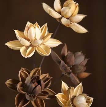 1pcs 55cm Džiovintos Gėlės Gamtos Lotus Namų Dekoravimas, Vestuvių Dekoravimas Šalies Dekoratyvinių Gėlių Žiedų Šaka Centras Vienetų