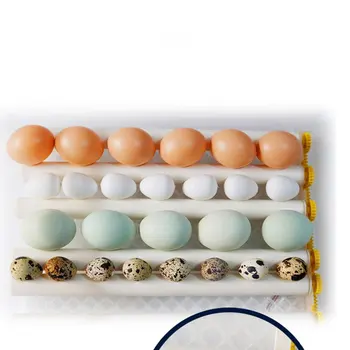 220V Kiaušiniai Inkubatoriaus Visiškai Automatinis Ūkio Inkubacijos Įrankiai Brooder Paukščių Putpelių Inkubatorius, Viščiukų Perykla Inkubatorius Paukščių Hatcher
