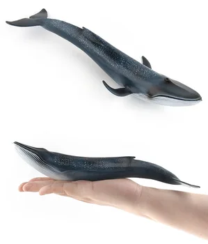 27CM Vandenyno Jūros Gyvenimo Modeliavimas Gyvūnų Modelio BANGINIS Mėlynasis Banginis Veiksmų Žaislai Duomenys Vaikų Švietimo Modelio Surinkimo Kalėdų Dovana