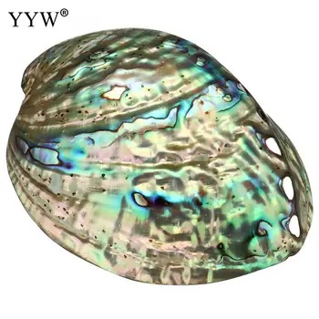 Abalone Paua Korpuso Apdailos Namų Reikmenys Multihole Jūros Kriauklių Schelpen Coquillage Shell Namų Puošybai 90x120x39mm