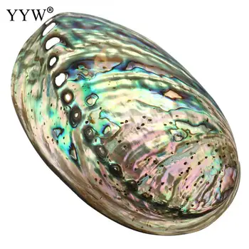 Abalone Paua Korpuso Apdailos Namų Reikmenys Multihole Jūros Kriauklių Schelpen Coquillage Shell Namų Puošybai 90x120x39mm