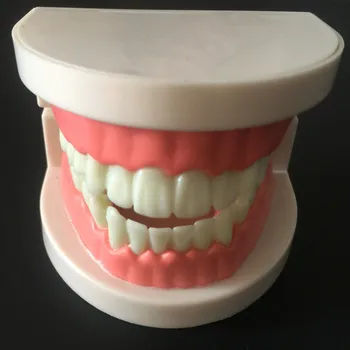 Dantų lab Dantų Modelį, balti dantys, dantų Protezų rodo, odontologia stomatologas laboratorinė įranga, Modelį 02