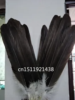 Didmeninė 10 retas gamtos didelis erelio plunksnų 45-50 cm/18-20 cm apdaila, Papuošalai, aksesuarai, etapas spektaklis 