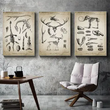 Dinozaurų Dramblys Patentų Derliaus Plakatas Gyvūnų Menas Spausdinti Iškastinio Skeletas Drobė Sienos Menas Nuotraukas Namuose Chemija Apdaila