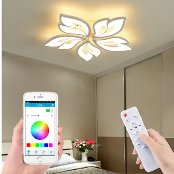 Gamyklos tiesioginio pardavimo LED šviestuvo modernus miegamojo smart APP kambarį LED lubų šviestuvas villa apšvietimo viešbutis šviesa