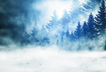 Laeacco Žiemos Sniego Miško Medžių, Pušų Naktį Vaizdingos Gamtos Požiūriu Fotografijos Foną, Photocall Foto Fonas Foto Studija