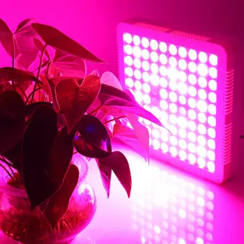 LED Augti Žiburiai, Lempos Skydelis Hydroponic Augalų Auginimo 3000W Visą Spektrą, Daržovių, Gėlių Patalpų Augalų Sėklos AC85-265V