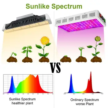 Phlizon vandeniui augalų auga šviesos pilno spektro led lempos 240W hidroponikos taikymas lempos vidaus ir lauko