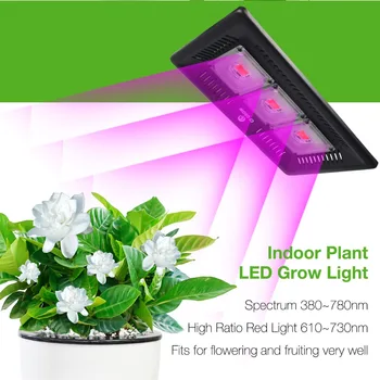SF Augti COB Led Grow Light-Ultra Plonas Vandeniui Visą Spektrą Šiltnamio efektą sukeliančių Hydroponics Augti Daržovių ir Žydi dekoratyviniai augalai