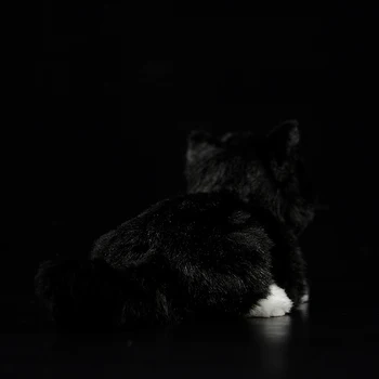 Super Mielas Juodos ir Baltos spalvos Raina Katė Įdaryti Minkštas Pliušinis Žaislas Guli Kačiukas Gyvas Gyvūnų Modeliavimas Vaikams Gimtadienio Dovana 21cm