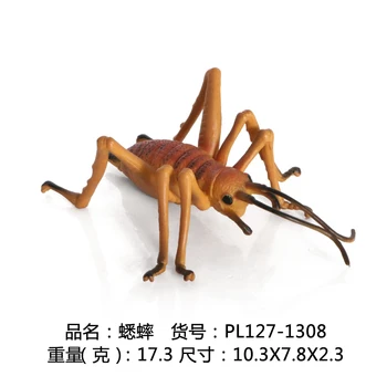 Vabzdžių Modeliai Modeliavimo Stag Vabalas Voras Bičių Lady vabalas Mantis Drugelis PVC Gyvūnų Modelius, Apdailos Statulėlės, žaislai