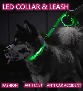 Šuo Bungee Pavadėlio Nailono Šviesos Fluorescencinis LED Šviesos USB Įkrovimo Naktį Saugos Mirksi šviečia Tamsoje Augintinio Antkaklio, Pavadėlio